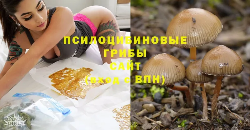 Галлюциногенные грибы Cubensis  Кострома 