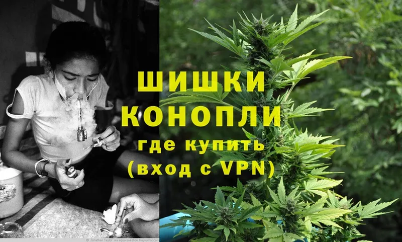 сколько стоит  мега   Шишки марихуана SATIVA & INDICA  Кострома 